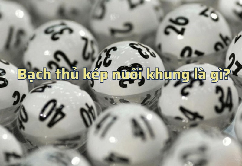 Bạch thủ lô kép nuôi khung có ý nghĩa gì?