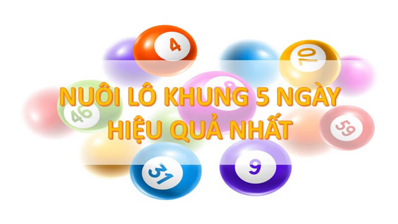 Nuôi lô đầu đít câm trong 5 ngày 