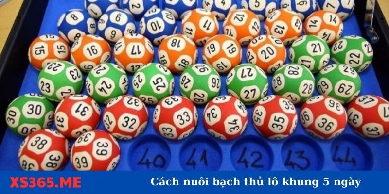 Cách chơi bạch thủ lô khung 5 ngày ra sao?