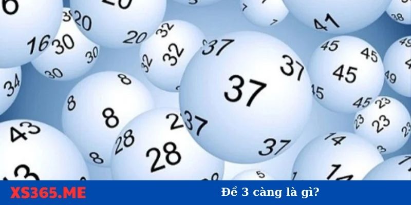 Đề 3 càng ăn bao nhiêu?